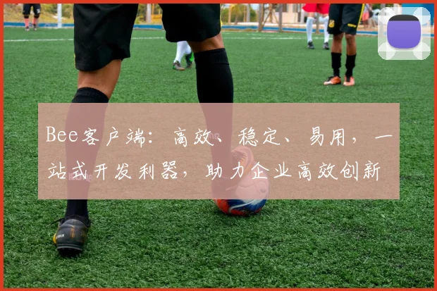 Bee客户端：高效、稳定、易用，一站式开发利器，助力企业高效创新，三重优势，值得信赖，