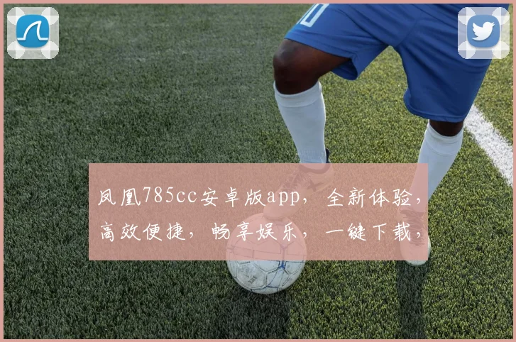 凤凰785cc安卓版app，全新体验，高效便捷，畅享娱乐，一键下载，畅游无阻，不容错过
