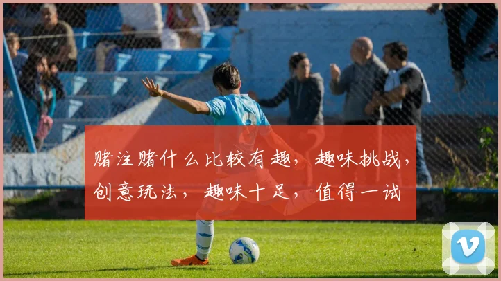 赌注赌什么比较有趣，趣味挑战，创意玩法，趣味十足，值得一试